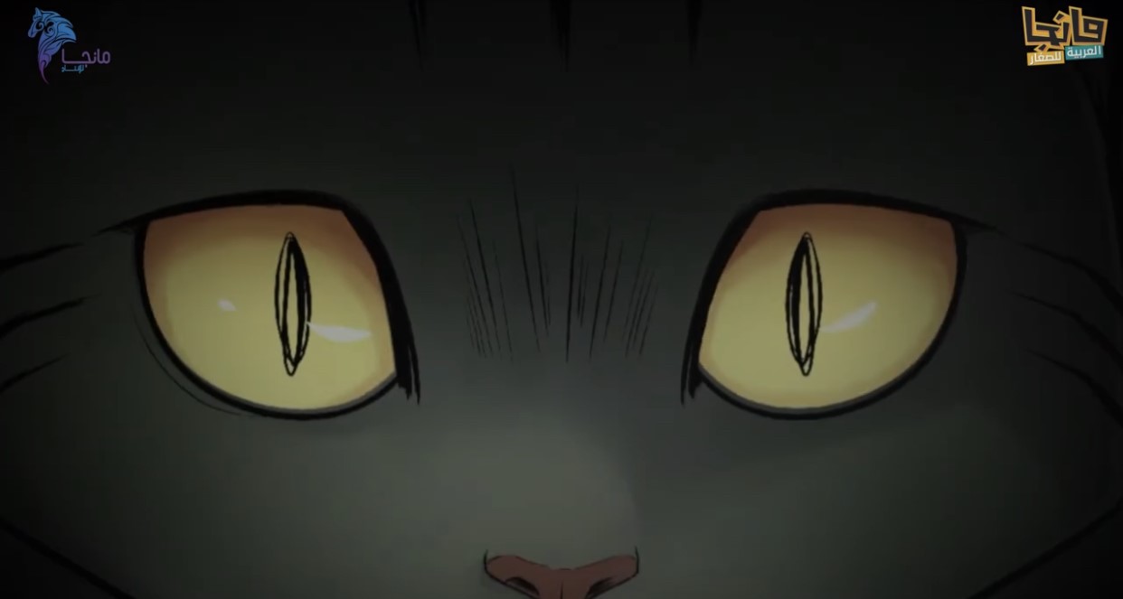 https://cdn.jwplayer.com/manifests/L6s013yY.m3u8